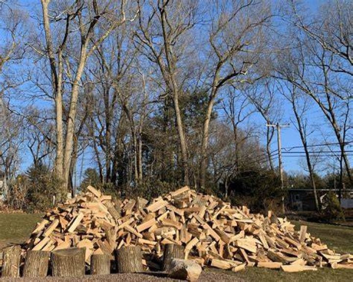 Michael-Tell